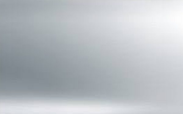 THE <br> <h1>SILVER (New)</h1>